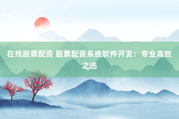 在线股票配资 股票配资系统软件开发：专业高效之选