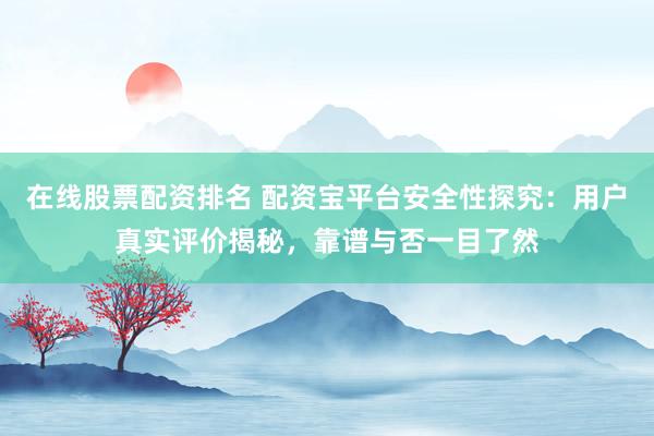 在线股票配资排名 配资宝平台安全性探究：用户真实评价揭秘，靠谱与否一目了然