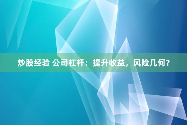 炒股经验 公司杠杆：提升收益，风险几何？
