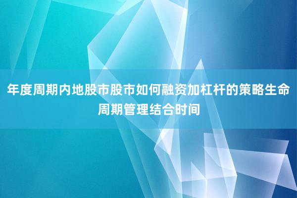 年度周期内地股市股市如何融资加杠杆的策略生命周期管理结合时间