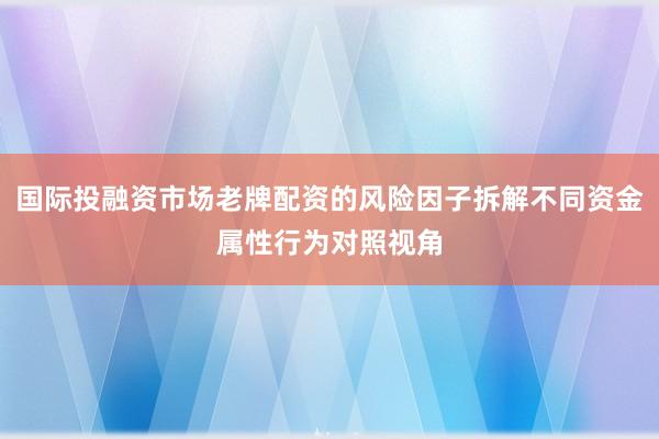 国际投融资市场老牌配资的风险因子拆解不同资金属性行为对照视角