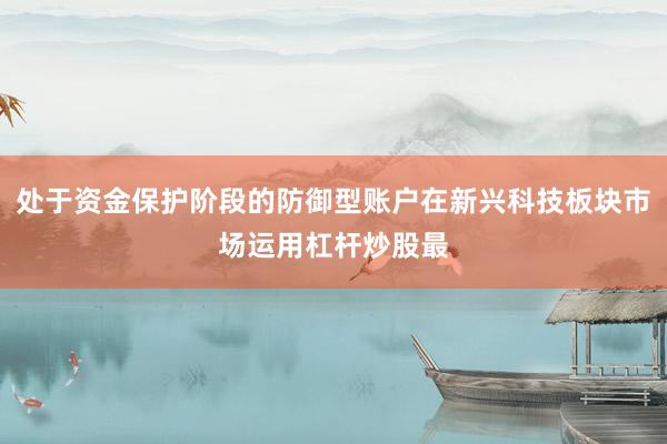 处于资金保护阶段的防御型账户在新兴科技板块市场运用杠杆炒股最