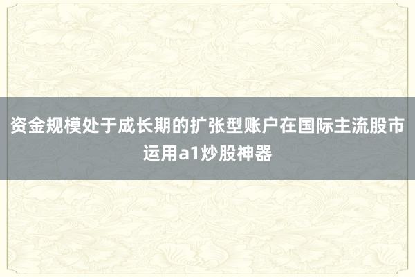 资金规模处于成长期的扩张型账户在国际主流股市运用a1炒股神器