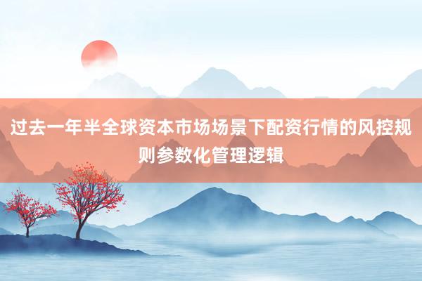 过去一年半全球资本市场场景下配资行情的风控规则参数化管理逻辑