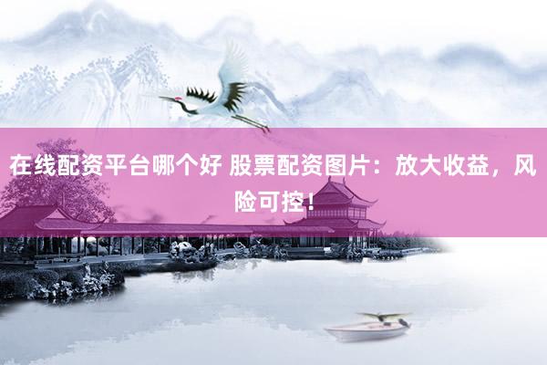 在线配资平台哪个好 股票配资图片：放大收益，风险可控！