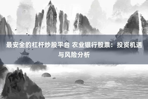 最安全的杠杆炒股平台 农业银行股票：投资机遇与风险分析