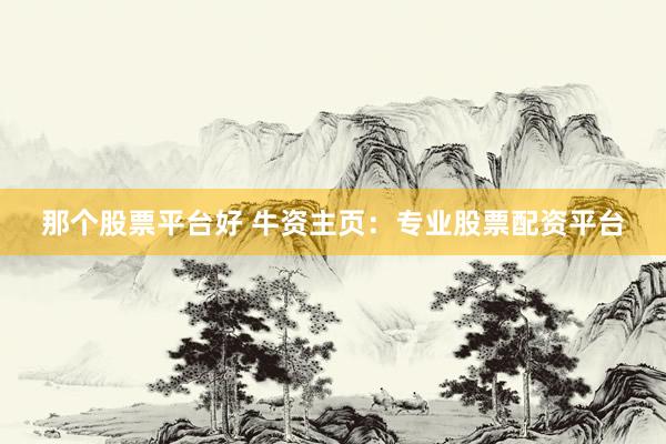 那个股票平台好 牛资主页：专业股票配资平台