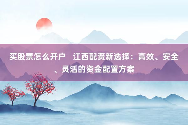 买股票怎么开户   江西配资新选择：高效、安全、灵活的资金配置方案